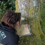 Chasses aux trésors